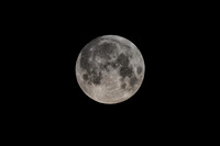 Goodnight Moon