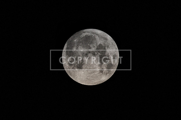 Goodnight Moon