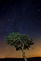 Cape Cod, Massachusetts