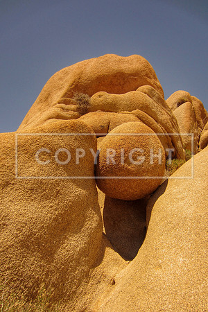 J Tree boulders